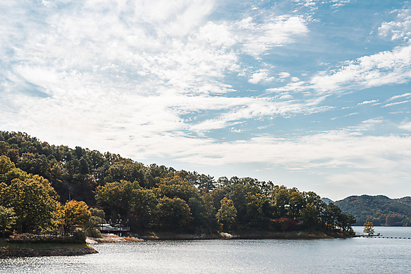 포토 JPG 주간 나무 구름 하늘 사람없음 야외 가을풍경 맑음 가을 대청호 청남대 국내포토 청주시 자연요소 식물 계절 호수 날씨 풍경 충청북도 청주 파일형식 청주_지역 가을_계절