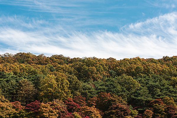 포토 JPG 주간 구름 하늘 산 사람없음 야외 가을풍경 맑음 가을 청남대 국내포토 청주시 자연요소 계절 날씨 풍경 충청북도 파일형식 청주_지역 가을_계절