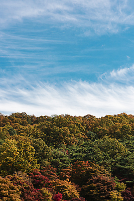 포토 JPG 주간 구름 하늘 산 사람없음 야외 가을풍경 맑음 가을 청남대 국내포토 청주시 자연요소 계절 날씨 풍경 충청북도 파일형식 청주_지역 가을_계절