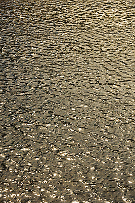 포토 JPG 주간 물결 사람없음 야외 가을풍경 가을 잔물결 대청호 청남대 국내포토 청주시 자연요소 계절 호수 풍경 충청북도 청주 파일형식 청주_지역 가을_계절