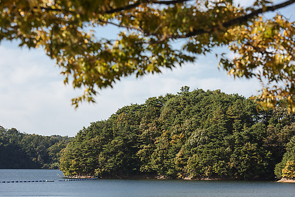 포토 JPG 주간 하늘 나뭇잎 사람없음 야외 가을풍경 가을 소프트포커스 대청호 청남대 국내포토 청주시 자연요소 계절 호수 잎 촬영기법 풍경 충청북도 청주 파일형식 청주_지역 가을_계절