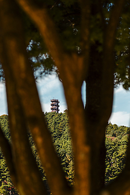 포토 JPG 주간 나무 사람없음 야외 탑 가을풍경 가을 소프트포커스 청남대 국내포토 청주시 자연요소 식물 건축물 계절 촬영기법 풍경 충청북도 파일형식 청주_지역 가을_계절