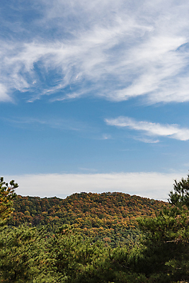 포토 JPG 주간 구름 하늘 산 사람없음 야외 가을풍경 맑음 가을 청남대 국내포토 청주시 자연요소 계절 날씨 풍경 충청북도 파일형식 청주_지역 가을_계절
