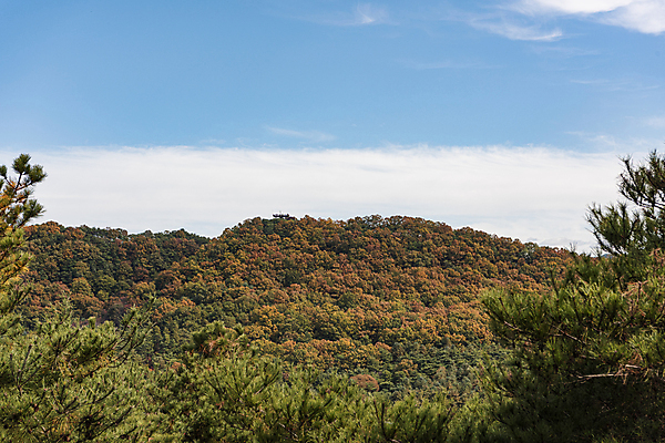 포토 JPG 주간 구름 하늘 산 사람없음 야외 가을풍경 맑음 가을 울창 청남대 국내포토 청주시 자연요소 계절 자연 날씨 풍경 충청북도 파일형식 청주_지역 가을_계절