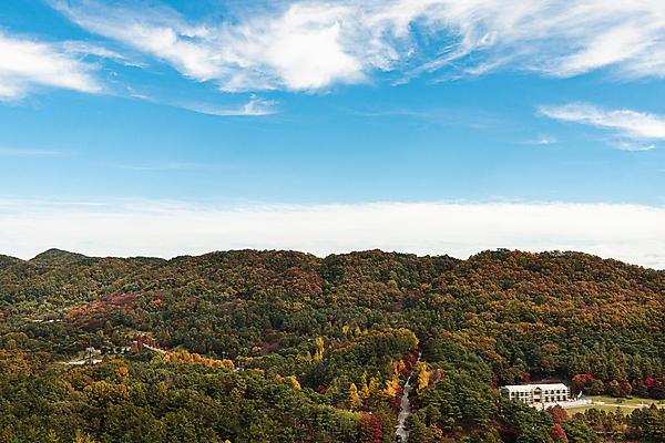 포토 JPG 주간 구름 하늘 사람없음 야외 건물 가을풍경 맑음 가을 울창 청남대 국내포토 청주시 자연요소 건축물 계절 자연 날씨 풍경 충청북도 파일형식 청주_지역 가을_계절