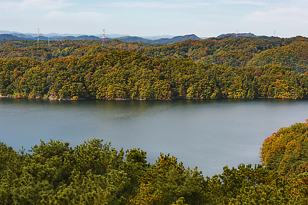 포토 JPG 주간 하늘 사람없음 야외 가을풍경 가을 울창 대청호 청남대 국내포토 청주시 자연요소 계절 호수 자연 풍경 충청북도 청주 파일형식 청주_지역 가을_계절