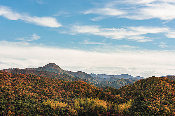 포토 자연요소 계절 날씨 풍경 충청북도 파일형식 청주_지역 가을_계절 산 맑음 하늘 구름 청남대 야외 가을풍경 가을 JPG 주간 사람없음 청주시 국내포토