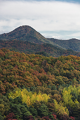 포토 JPG 주간 구름 하늘 산 사람없음 야외 가을풍경 가을 울창 청남대 국내포토 청주시 자연요소 계절 자연 풍경 충청북도 파일형식 청주_지역 가을_계절