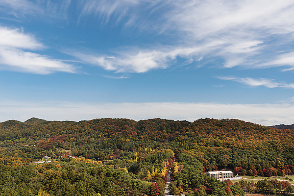 포토 JPG 주간 구름 하늘 사람없음 야외 건물 가을풍경 맑음 가을 청남대 국내포토 청주시 자연요소 건축물 계절 날씨 풍경 충청북도 파일형식 청주_지역 가을_계절