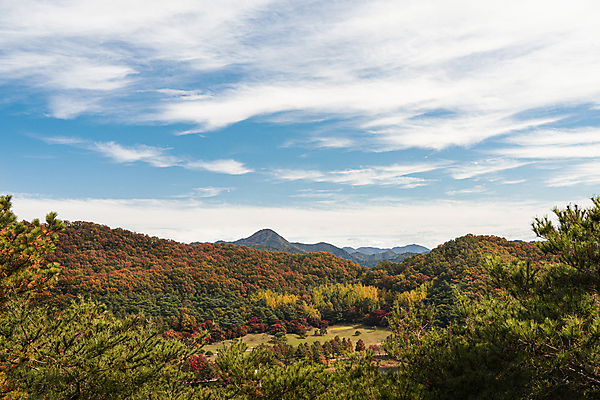 포토 JPG 주간 구름 하늘 산 사람없음 야외 가을풍경 맑음 가을 청남대 국내포토 청주시 자연요소 계절 날씨 풍경 충청북도 파일형식 청주_지역 가을_계절