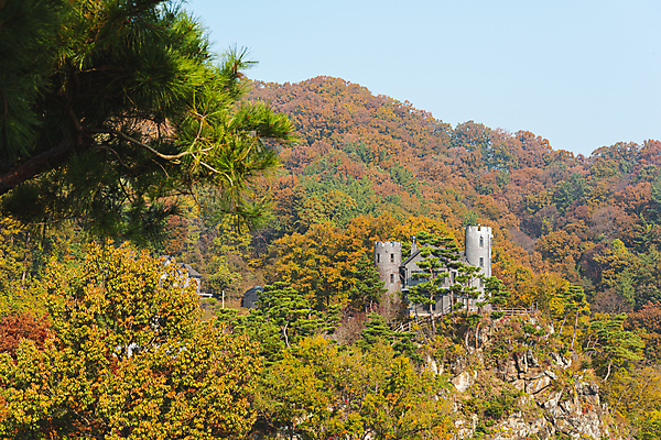 포토 JPG 주간 하늘 단풍나무 산 사람없음 야외 가을풍경 가을 옥천 수생식물학습원 국내포토 자연요소 나무 계절 단풍 풍경 충청북도 파일형식 가을_계절