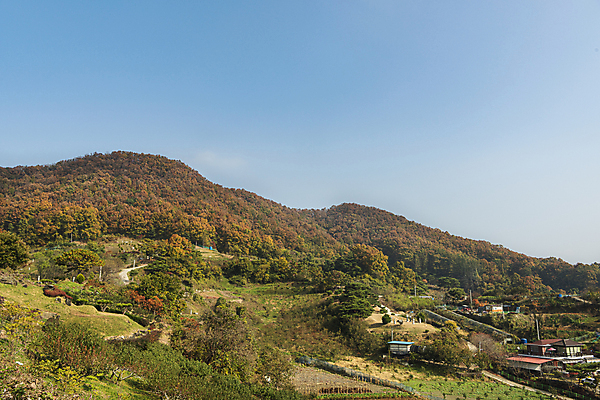포토 JPG 주간 하늘 산 사람없음 야외 마을 가을풍경 가을 옥천 국내포토 자연요소 계절 풍경 충청북도 파일형식 가을_계절