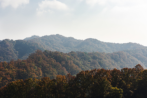 포토 JPG 주간 구름 자연 하늘 산 사람없음 야외 가을풍경 맑음 가을 옥천 울창 국내포토 자연요소 계절 날씨 풍경 생태계 충청북도 파일형식 가을_계절