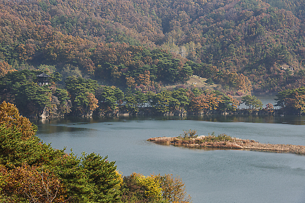 포토 JPG 주간 나무 자연 산 사람없음 야외 가을풍경 가을 옥천 대청호 부소담악 국내포토 자연요소 식물 계절 호수 풍경 생태계 충청북도 청주 파일형식 가을_계절