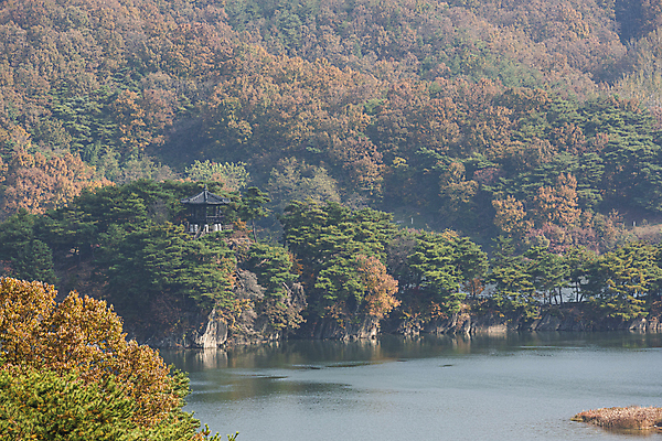 포토 JPG 주간 나무 산 사람없음 야외 가을풍경 가을 정자 옥천 대청호 부소담악 국내포토 자연요소 식물 건축물 계절 호수 풍경 충청북도 청주 파일형식 가을_계절