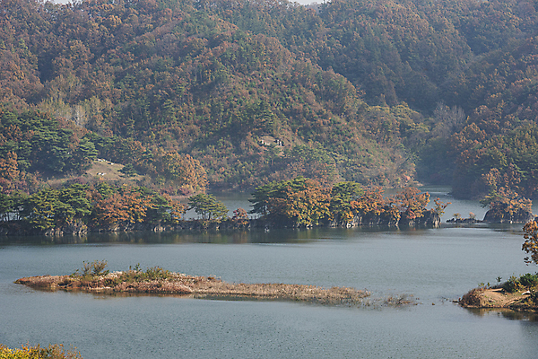 포토 JPG 주간 나무 자연 산 사람없음 야외 가을풍경 가을 옥천 대청호 부소담악 국내포토 자연요소 식물 계절 호수 풍경 생태계 충청북도 청주 파일형식 가을_계절