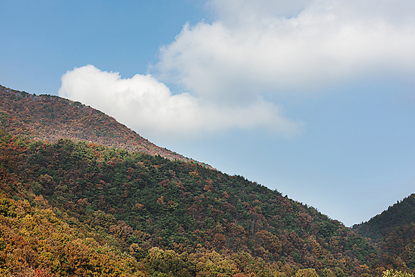 포토 JPG 주간 구름 자연 하늘 산 사람없음 야외 가을풍경 맑음 가을 옥천 국내포토 자연요소 계절 날씨 풍경 생태계 충청북도 파일형식 가을_계절