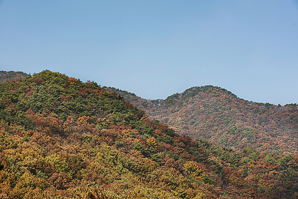 포토 JPG 주간 자연 하늘 산 사람없음 야외 가을풍경 맑음 가을 옥천 국내포토 자연요소 계절 날씨 풍경 생태계 충청북도 파일형식 가을_계절