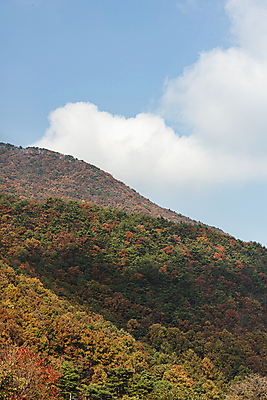 포토 JPG 주간 구름 자연 하늘 산 사람없음 야외 가을풍경 가을 옥천 국내포토 자연요소 계절 풍경 생태계 충청북도 파일형식 가을_계절