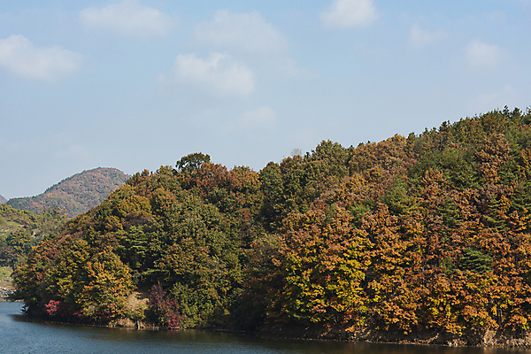 포토 JPG 주간 구름 자연 하늘 산 사람없음 야외 가을풍경 맑음 가을 옥천 대청호 국내포토 자연요소 계절 호수 날씨 풍경 생태계 충청북도 청주 파일형식 가을_계절