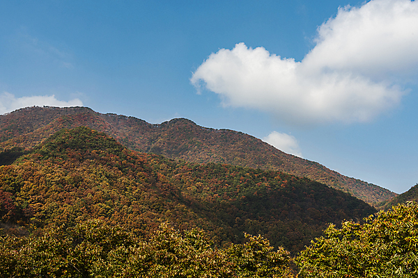 포토 JPG 주간 구름 하늘 산 사람없음 야외 가을풍경 가을 옥천 울창 국내포토 자연요소 계절 자연 풍경 충청북도 파일형식 가을_계절