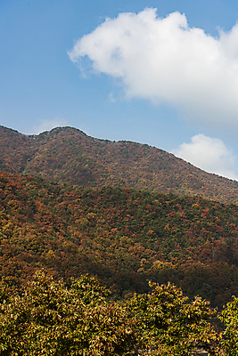 포토 JPG 주간 구름 자연 하늘 산 사람없음 야외 가을풍경 맑음 가을 옥천 국내포토 자연요소 계절 날씨 풍경 생태계 충청북도 파일형식 가을_계절