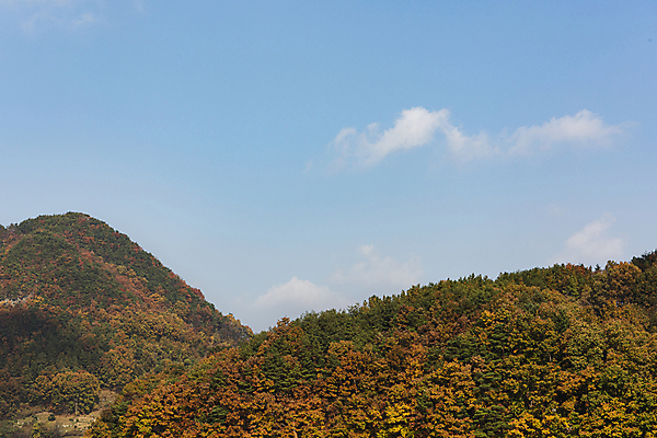 포토 JPG 주간 구름 자연 하늘 산 사람없음 야외 가을풍경 맑음 가을 옥천 국내포토 자연요소 계절 날씨 풍경 생태계 충청북도 파일형식 가을_계절