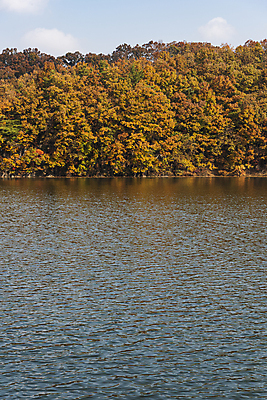 포토 JPG 주간 자연 하늘 단풍나무 산 사람없음 야외 가을풍경 가을 옥천 울창 대청호 국내포토 자연요소 나무 계절 호수 단풍 풍경 생태계 충청북도 청주 파일형식 가을_계절