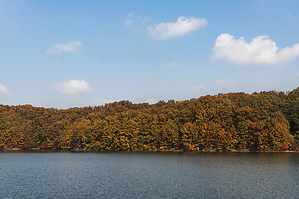 포토 JPG 주간 구름 하늘 산 사람없음 야외 가을풍경 맑음 가을 옥천 대청호 국내포토 자연요소 계절 호수 날씨 풍경 충청북도 청주 파일형식 가을_계절