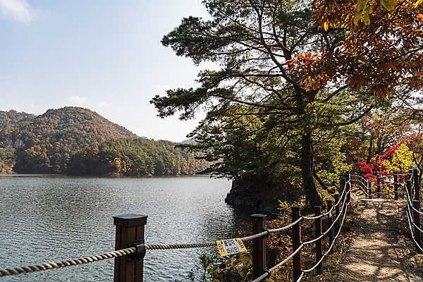 포토 JPG 주간 나무 하늘 산 사람없음 야외 울타리 가을풍경 산책로 가을 옥천 대청호 국내포토 자연요소 식물 계절 길 호수 풍경 담장 충청북도 청주 파일형식 가을_계절