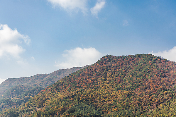 포토 JPG 주간 구름 자연 하늘 산 사람없음 야외 가을풍경 맑음 가을 옥천 국내포토 자연요소 계절 날씨 풍경 생태계 충청북도 파일형식 가을_계절