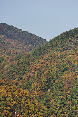 포토 JPG 주간 자연 하늘 산 사람없음 야외 가을풍경 가을 옥천 국내포토 자연요소 계절 풍경 생태계 충청북도 파일형식 가을_계절