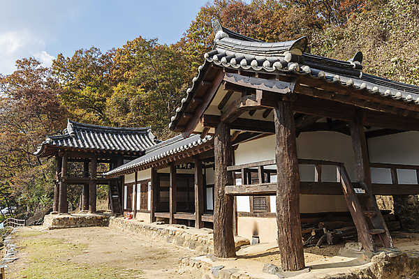 포토 JPG 주간 나무 한옥 사람없음 야외 가을풍경 가을 서당 옥천 이지당 국내포토 자연요소 식물 한국전통 계절 고건축 풍경 충청북도 파일형식 가을_계절