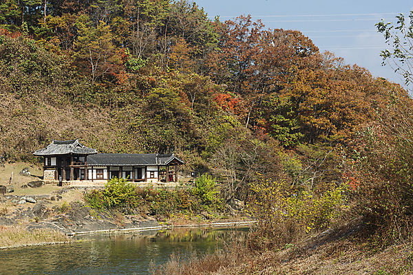 포토 JPG 주간 나무 한옥 사람없음 야외 강 가을풍경 가을 서당 옥천 이지당 국내포토 자연요소 식물 한국전통 계절 고건축 풍경 충청북도 파일형식 가을_계절