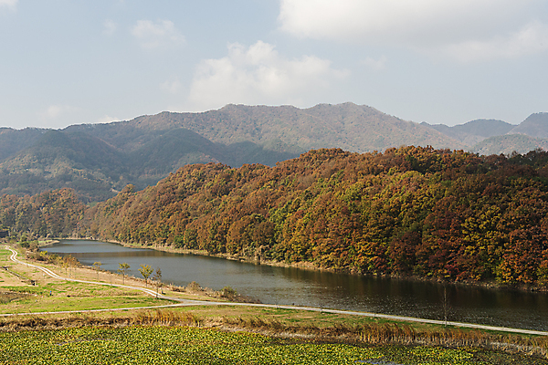 포토 JPG 주간 구름 하늘 산 사람없음 야외 가을풍경 가을 옥천 전경 소옥천 국내포토 자연요소 계절 풍경 강 충청북도 파일형식 탑뷰 가을_계절