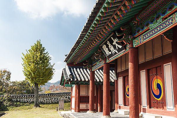 포토 JPG 주간 나무 구름 하늘 한옥 사람없음 야외 가을풍경 가을 옥천 향교 옥천향교 국내포토 자연요소 식물 한국전통 계절 고건축 풍경 충청북도 교육기관 파일형식 가을_계절