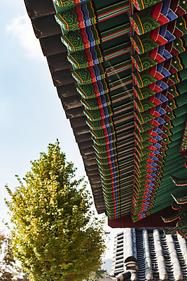 포토 JPG 주간 나무 한옥 사람없음 야외 가을풍경 가을 옥천 지붕처마 향교 옥천향교 국내포토 자연요소 식물 한국전통 계절 고건축 지붕 풍경 처마 충청북도 교육기관 파일형식 가을_계절