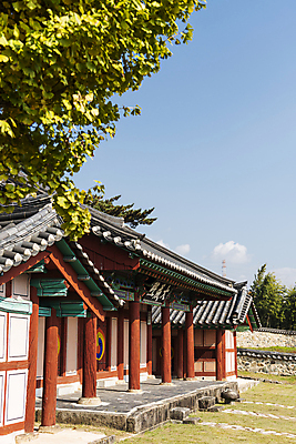 포토 JPG 주간 하늘 나뭇잎 한옥 사람없음 야외 가을풍경 가을 옥천 향교 옥천향교 국내포토 자연요소 한국전통 계절 고건축 잎 풍경 충청북도 교육기관 파일형식 가을_계절