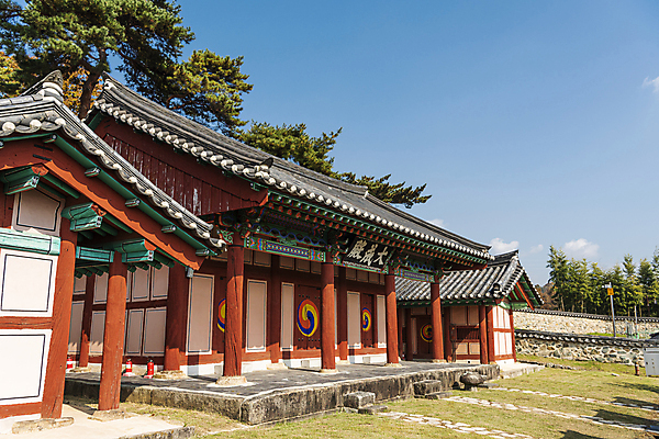 포토 JPG 주간 나무 하늘 한옥 사람없음 야외 가을풍경 가을 옥천 향교 옥천향교 국내포토 자연요소 식물 한국전통 계절 고건축 풍경 충청북도 교육기관 파일형식 가을_계절