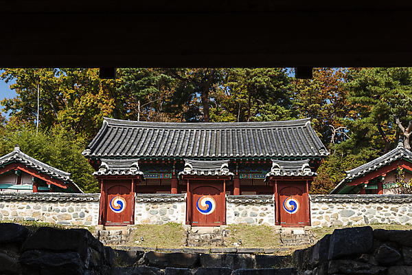 포토 JPG 주간 나무 한옥 사람없음 야외 가을풍경 가을 옥천 정문 향교 옥천향교 국내포토 자연요소 식물 한국전통 계절 고건축 풍경 문 충청북도 교육기관 파일형식 가을_계절