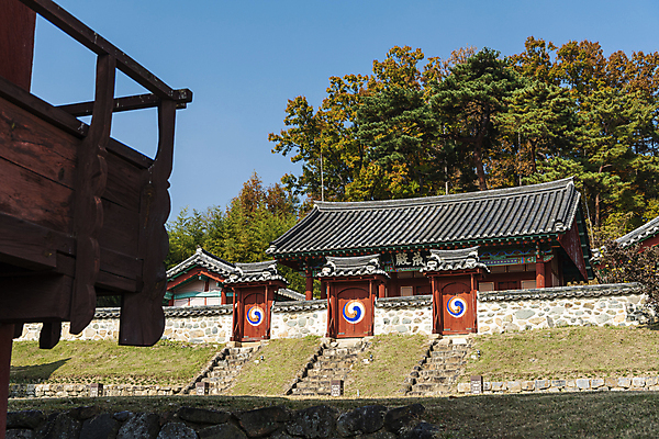포토 JPG 주간 나무 하늘 한옥 사람없음 야외 가을풍경 가을 옥천 정문 향교 옥천향교 국내포토 자연요소 식물 한국전통 계절 고건축 풍경 문 충청북도 교육기관 파일형식 가을_계절