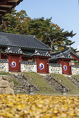 포토 JPG 주간 낙엽 한옥 사람없음 야외 가을풍경 가을 소프트포커스 돌계단 옥천 정문 향교 옥천향교 국내포토 자연요소 한국전통 계절 고건축 잎 촬영기법 풍경 문 계단 돌_바위 충청북도 교육기관 파일형식 가을_계절