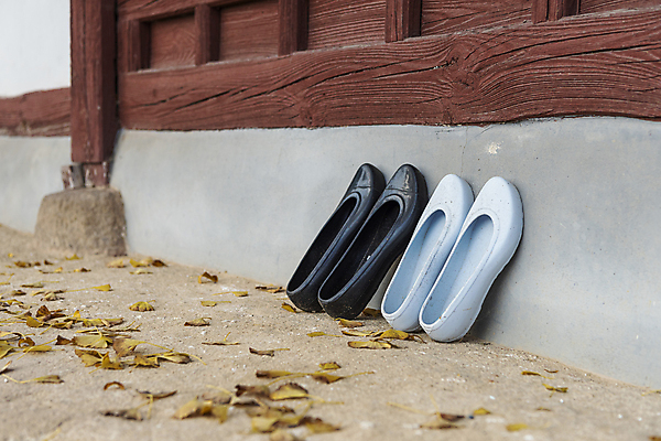 포토 JPG 주간 낙엽 한옥 사람없음 야외 가을풍경 가을 고무신 두켤레 옥천 향교 옥천향교 국내포토 자연요소 한국전통 계절 신발 고건축 잎 풍경 충청북도 교육기관 파일형식 가을_계절