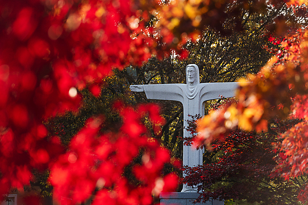 포토 JPG 주간 단풍 사람없음 야외 동상 가을풍경 가을 소프트포커스 예수상 제천 배론성지 국내포토 자연요소 계절 잎 촬영기법 풍경 조형물 기념물 충청북도 성지 파일형식 가을_계절