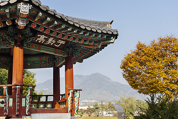 포토 JPG 주간 하늘 단풍나무 산 사람없음 야외 가을풍경 가을 정자 의림지 제천 국내포토 자연요소 나무 건축물 계절 단풍 풍경 저수지 충청북도 파일형식 제천10경 가을_계절