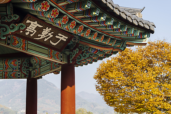 포토 JPG 주간 단풍나무 사람없음 야외 가을풍경 가을 정자 의림지 제천 현판 국내포토 자연요소 나무 건축물 계절 단풍 풍경 저수지 충청북도 파일형식 제천10경 가을_계절