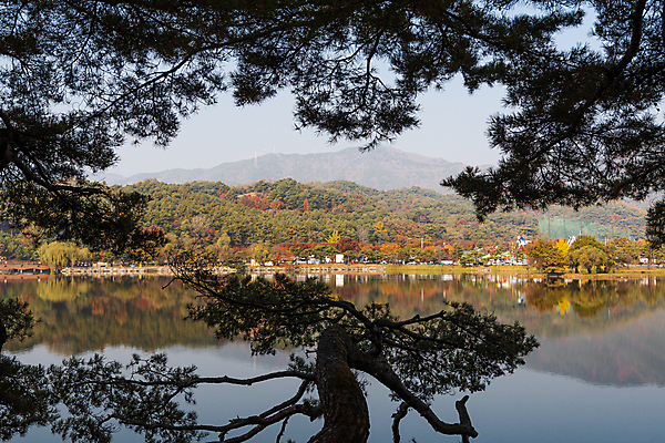 포토 JPG 주간 호수 산 사람없음 야외 반사 가을풍경 가을 소나무 의림지 제천 국내포토 자연요소 나무 계절 풍경 저수지 충청북도 파일형식 제천10경 가을_계절