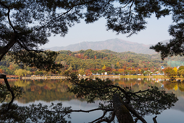 포토 JPG 주간 호수 산 사람없음 야외 반사 가을풍경 가을 소나무 의림지 제천 국내포토 자연요소 나무 계절 풍경 저수지 충청북도 파일형식 제천10경 가을_계절