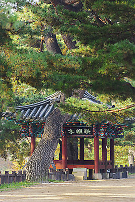 포토 JPG 주간 사람없음 야외 가을풍경 가을 소나무 정자 의림지 제천 국내포토 자연요소 나무 건축물 계절 풍경 저수지 충청북도 파일형식 제천10경 가을_계절