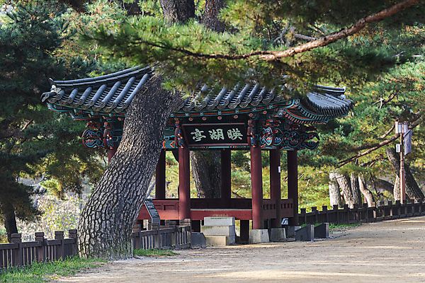 포토 JPG 주간 사람없음 야외 가을풍경 가을 소나무 정자 의림지 제천 국내포토 자연요소 나무 건축물 계절 풍경 저수지 충청북도 파일형식 제천10경 가을_계절